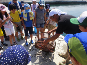 東京・啓明学園５年生、漁業の学習・被災地復興の学習のため南三陸町を訪れる